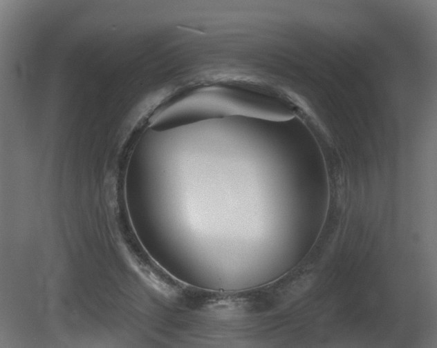X0000081420447200701121240