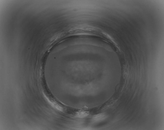 X0000081420451200701121240