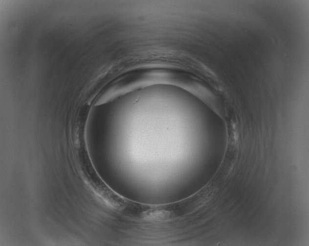 X0000081420452200701121240