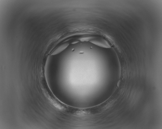 X0000081420453200701121240