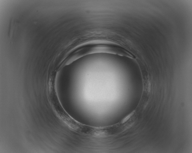 X0000081420456200701121240