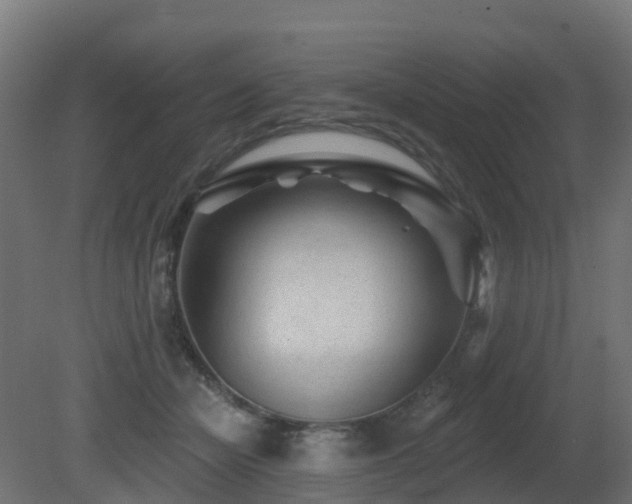 X0000081420462200701121240