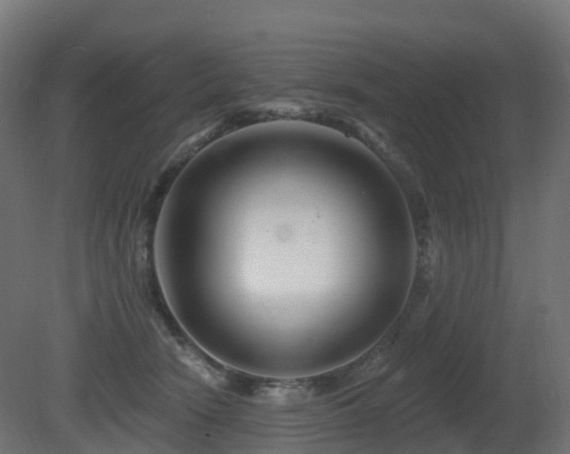 X0000081420466200701121240