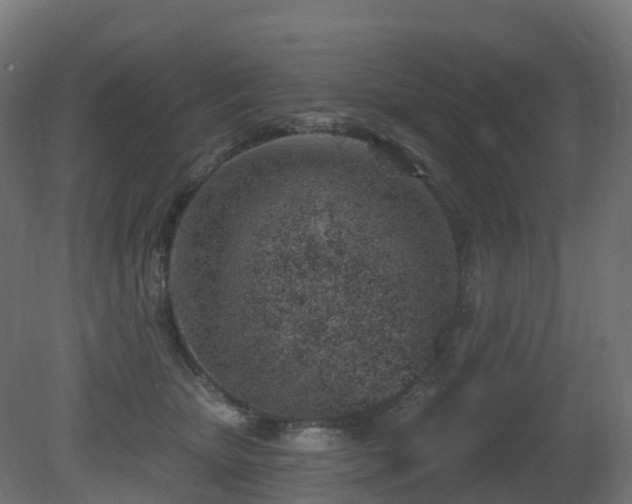 X0000081420467200701121240