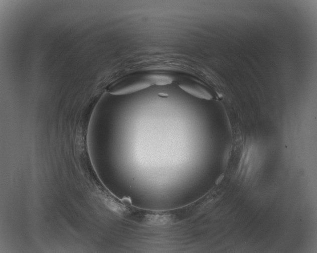 X0000081420469200701121240