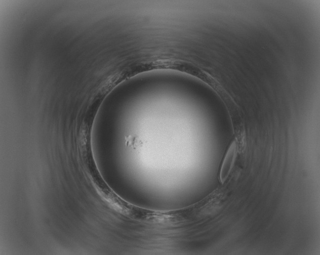 X0000081420472200701121240