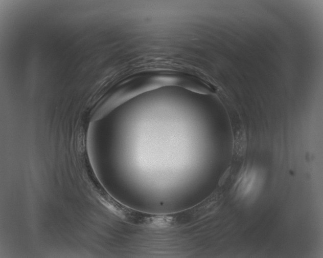 X0000081420474200701121240