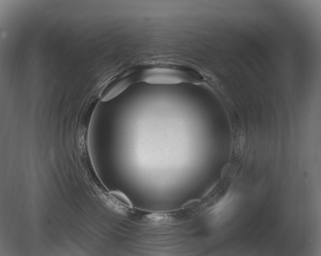 X0000081420477200701121240