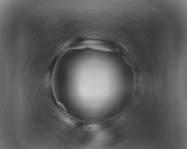 X0000081420478200701121240