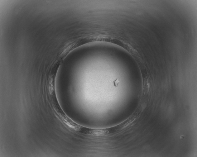 X0000081420479200701121240