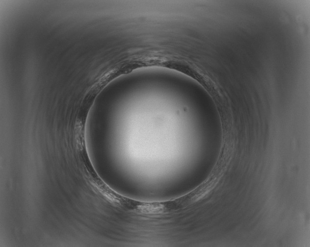 X0000081420480200701121240