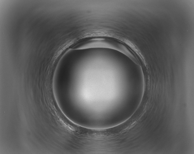 X0000081420481200701121240