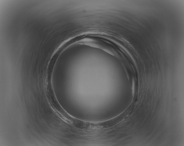 X0000081420484200701121240