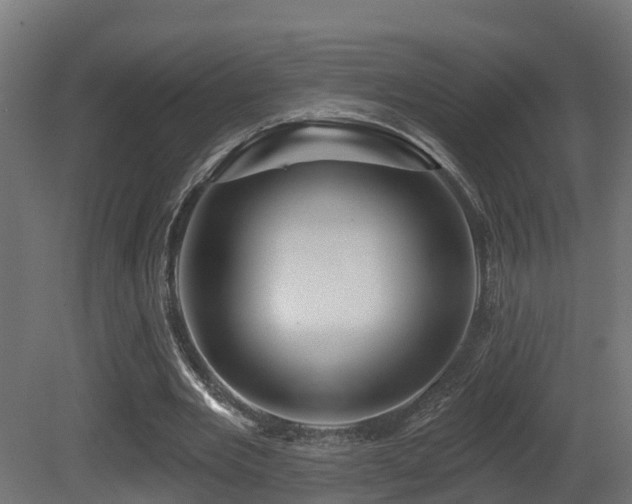 X0000081420485200701121239
