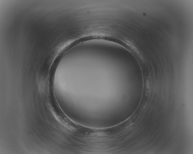 X0000081420492200701121239