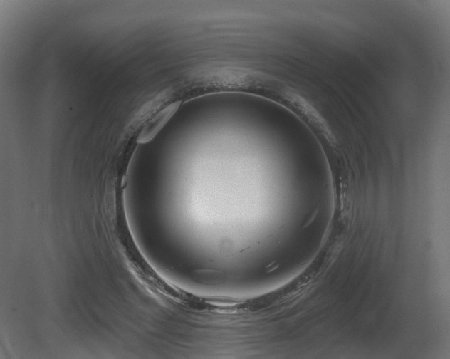 X0000081420493200701121239