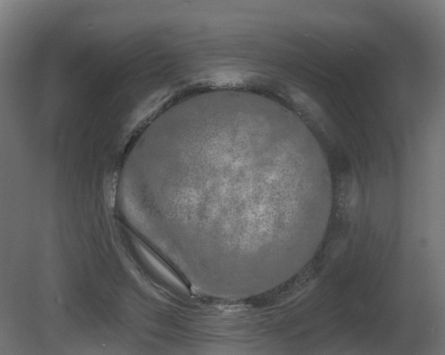 X0000081420495200701121239
