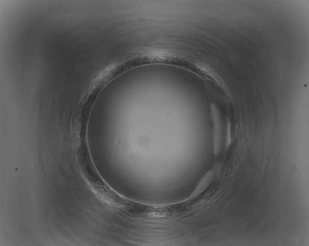 X0000081420496200701121239