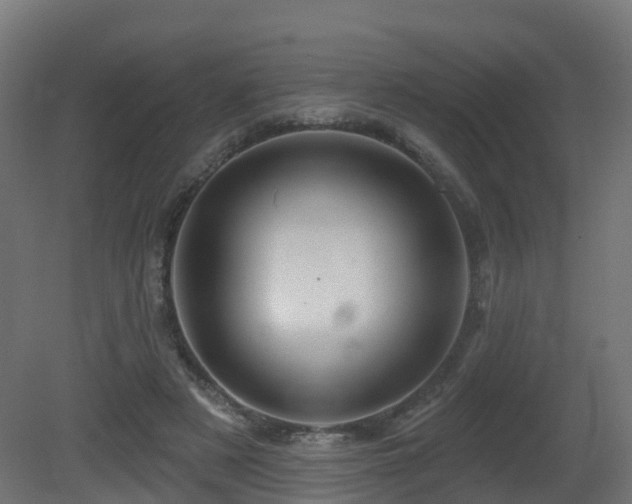 X0000081420497200701121239