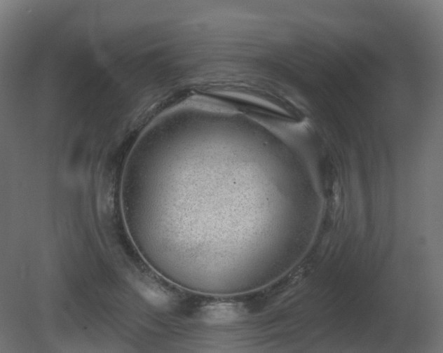 X0000081420499200701121239