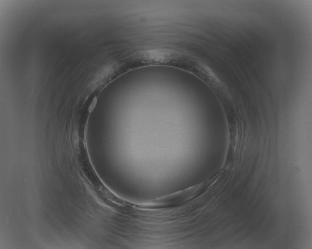 X0000081420500200701121239