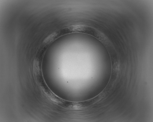 X0000081420506200701121239