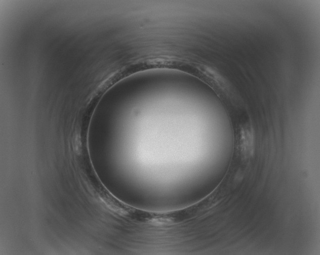 X0000081420508200701121239