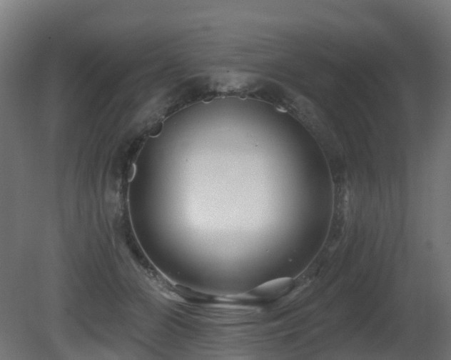 X0000081420510200701121239