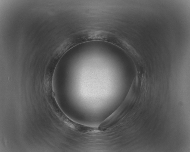 X0000081420513200701121239
