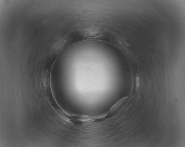 X0000081420515200701121239