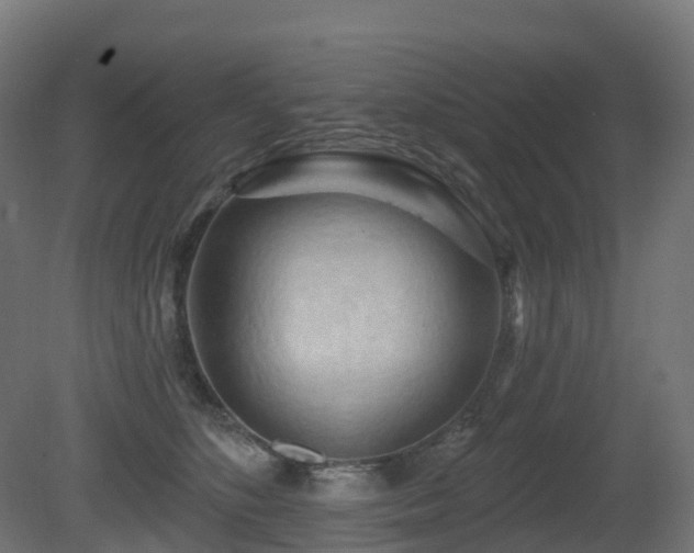 X0000081420516200701121239