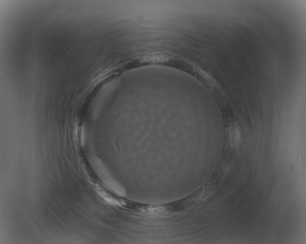 X0000081420517200701121239