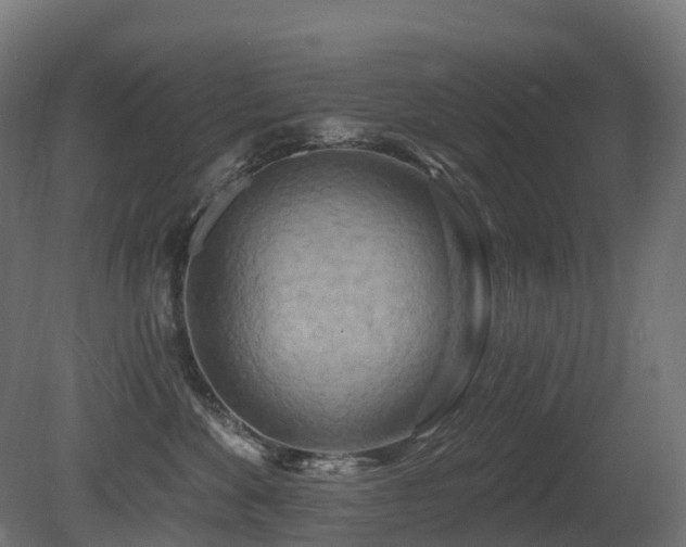 X0000081420524200701121239