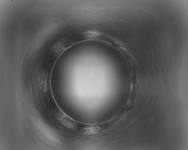 X0000081420525200701121239