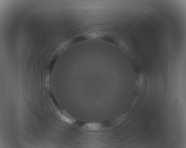 X0000081420526200701121239