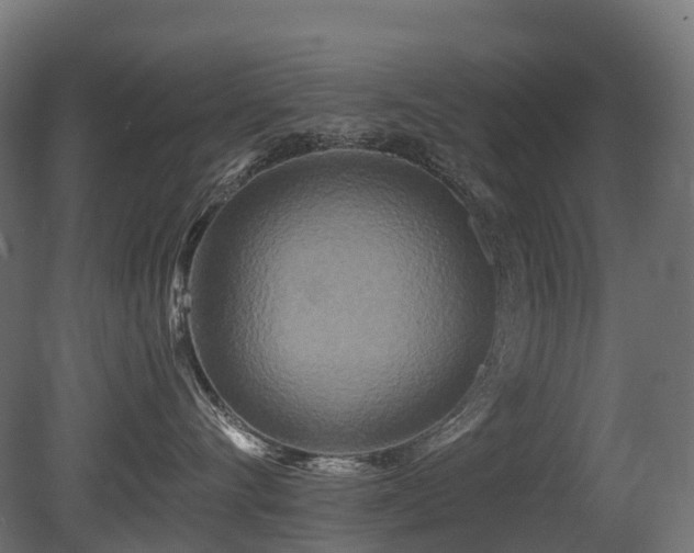 X0000081420528200701121239