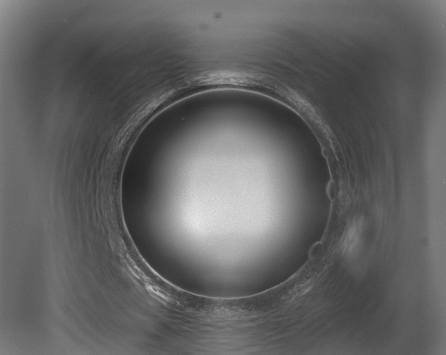 X0000081420529200701121238