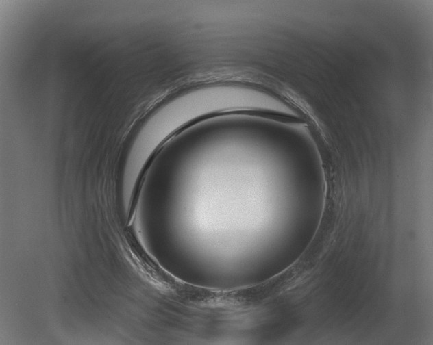 X0000081420537200701121238