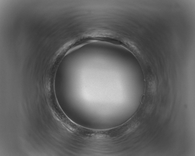 X0000081420539200701121238