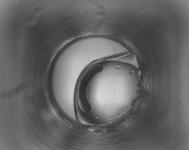 X0000081420540200701121238