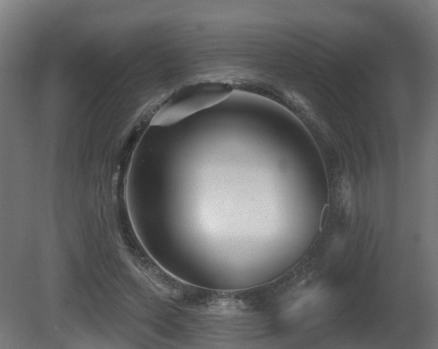 X0000081420543200701121238