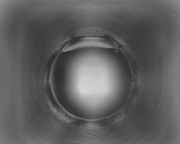 X0000081420546200701121238