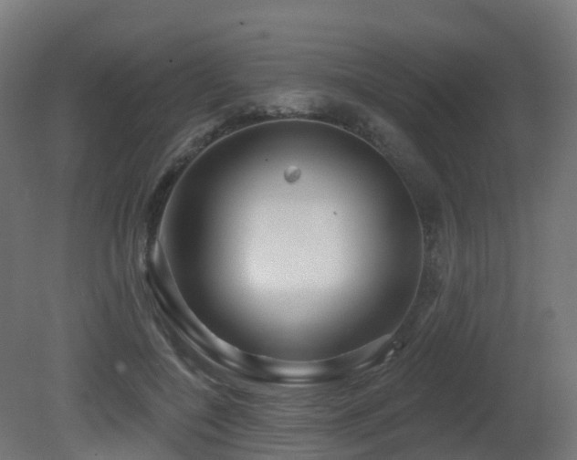 X0000081420548200701121238