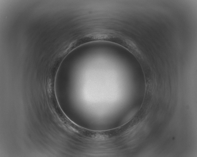 X0000081420549200701121238