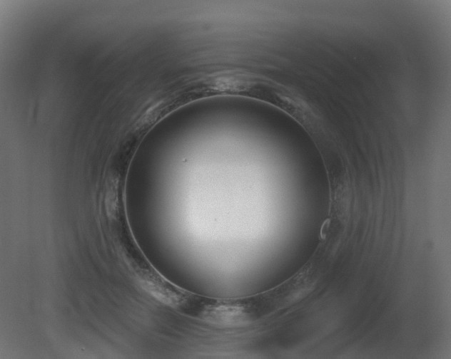 X0000081420554200701121238