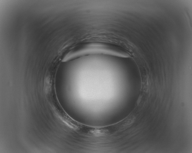 X0000081420558200701121238