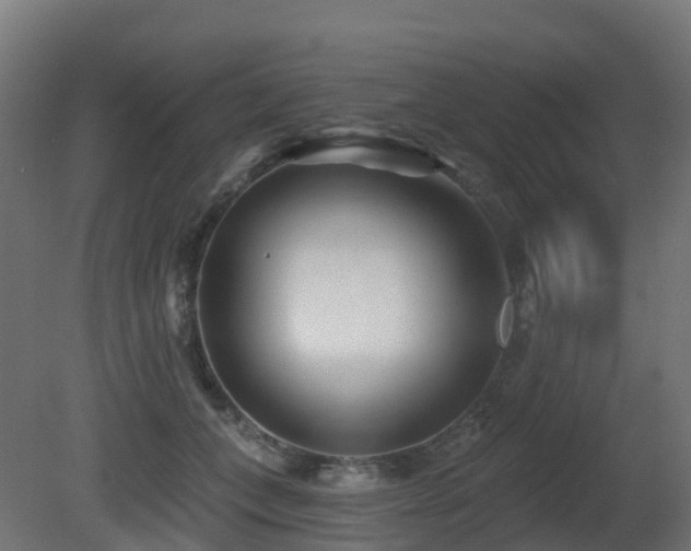X0000081420559200701121238