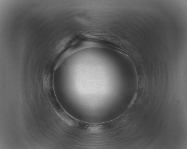 X0000081420560200701121238