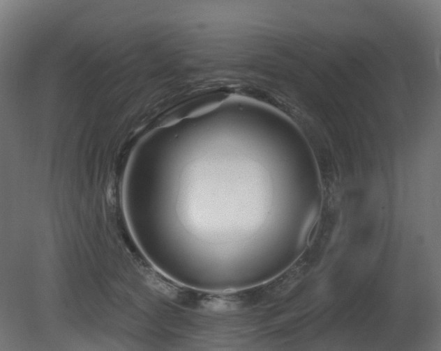 X0000081420561200701121238