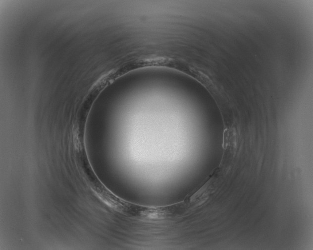 X0000081420564200701121239